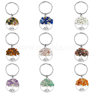 4 Sets Natural Stone Keychains, with Iron Split Key Rings, 304 Stainless Steel Jump Rings and Tibetan Style Alloy Pendants, Flat Round with Tree of Life, 5.5cm, 9pcs/set, 4 sets/box(KEYC-FH0001-20)