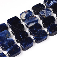 Natural Sodalite Beads Strands, with Seed Beads, Rectangle, 11~13x7.5~9.5x4.5~5.5mm, Hole: 0.9mm, seed beads: 3x3x2, hole: 0.8mm, about 28pcs/strand, 16.14''(41cm)(G-T138-09)