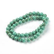 Synthetic Turquoise Beads, Dyed, Round, Dark Turquoise, Size: about 6mm in diameter, hole: 1mm, 66pcs/strand, 16 inch(G-H1143-1)