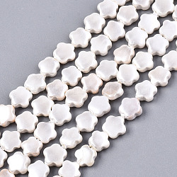 Shell Pearl Beads Strands, Flower, Creamy White, 6x6x2mm, Hole: 0.6mm, about 65~66pcs/strand, 15.04~15.47 inch(38.2~39.3cm)(X-SSHEL-N032-21)