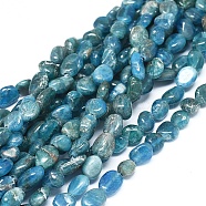 Natural Apatite Beads Strands, Nuggets, 6~10x5~7x3~4.5mm, hole: 0.7mm, about 55pcs/Strand, 15.94 inch(40.5cm)(G-D0004-A02-01)