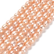 Natural Cultured Freshwater Pearl Beads Strands, Two Sides Polished, Grade 6A, Light Salmon, 6.5~8.5x5.5~6.5mm, Hole: 0.5mm, about 46~47pcs/strand, 13.43~13.70 inch(34.1~34.8cm)(PEAR-E016-071)