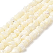 Natural Trochid Shell/Trochus Shell Beads Strands, Nuggets, Beige, 10~13.5x9~12mm, Hole: 1mm, about 24~25pcs/strand, 15.35~15.55 inch(39~39.5cm)(SHEL-F007-01)