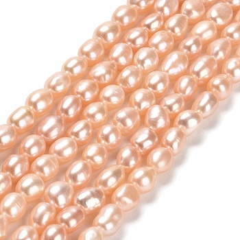 Natural Cultured Freshwater Pearl Beads Strands, Two Sides Polished, Grade 6A, Light Salmon, 6.5~8.5x5.5~6.5mm, Hole: 0.5mm, about 46~47pcs/strand, 13.43~13.70 inch(34.1~34.8cm)