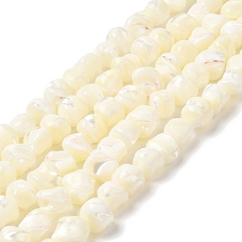 Natural Trochid Shell/Trochus Shell Beads Strands, Nuggets, Beige, 10~13.5x9~12mm, Hole: 1mm, about 24~25pcs/strand, 15.35~15.55 inch(39~39.5cm)
