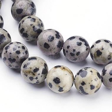 Natural Dalmatian Jasper Beads Strands(GSR10mmC004)-2