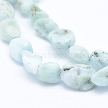 Natural Larimar Beads Strands(G-K203-48)-3