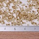 MIYUKI Delica Beads(X-SEED-J020-DB0901)-4