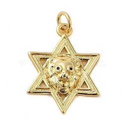 Rack Plating Brass Micro Pave Cubic Zirconia Pendants, Cadmium Free & Lead Free, Long-Lasting Plated, Star with Lion, Real 18K Gold Plated, 22.5x17.5x5mm, Hole: 3mm(KK-P241-16G)