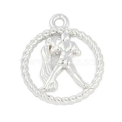 Twelve Constellations Alloy Pendants, Aquarius, 22.5x19x2.5mm, Hole: 1.8mm(PALLOY-Q006-01E-S)