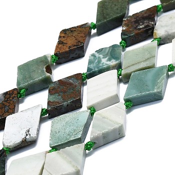 Natural Dioptase Beads Strands, Rhombus, 20~22x12~13x4~5mm, Hole: 1mm, about 19pcs/strand, 16.73''(42.5cm)