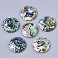 Natural Abalone Shell/Paua Shell Cabochons, with Freshwater Shell, Flat Round, Colorful, 16x3mm(X-SSHEL-N034-45)