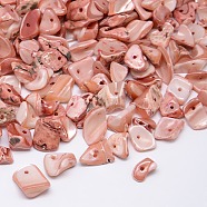 Dyed Natural Freshwater Shell Chips Beads, Shell Shards, Misty Rose, 9~12x6~15mm, Hole: 1mm, about 900pcs/500g(SHEL-A003-E02)
