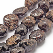 Natural Garnet Beads Strands, Tumbled Stone, Nuggets, 18~25x18~25x15~23mm, Hole: 2mm, about 17~22pcs/strand, 15.7 inch(40cm)(G-P301-15)
