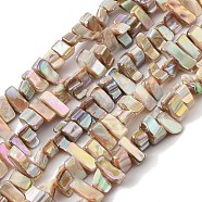 Natural Freshwater Shell Beads Strands, Dyed, AB Color, Nugget, PapayaWhip, 7~17.5x5~5.5x6~8.5mm, Hole: 1.2mm, about 72~73pcs/strand, 15.35''(39cm)(BSHE-H018-07A)