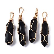 Natural Black Stone Big Pendants, with Golden Brass Findings, Hexagonal Prisms, 44.5~52x10~11x9.5~10.5mm, Hole: 4x7mm(G-T122-70A)