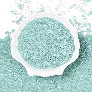 DIY 3D Nail Art Decoration Baking Paint Mini Glass Micro Beads, Tiny Caviar Nail Beads, Pale Turquoise, 0.6~0.8mm, about 450g/pound(MRMJ-R038-A03-1)