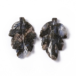 Natural Glaucophane Pendants, Leaf Charms, 41.5x25~26x5mm, Hole: 0.8mm(G-I336-01-11)