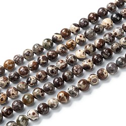 Round Natural Agate Beads, Dyed & Heated, Coffee, 6mm, Hole: 1mm, about 65pcs/strand, 15.55''~15.7"(39.5~40cm)(G-E567-01A)