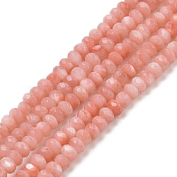 Natural Freshwater Shell Dyed Beads Strands, Faceted Rondelle, Dark Salmon, 4x3mm, Hole: 0.7mm, about 137pcs/strand, 15.35''(39cm)(SHEL-R100-13A-03)