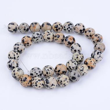 Natural Dalmatian Jasper Beads Strands(G-Q462-10mm-30)-3