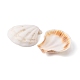 54 ensemble de perles de coquille Saint-Jacques teintes naturelles(FIND-FS0001-19)-3