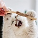Gorgecraft 3 pcs bâtons à mâcher en bois chat nettoyage des dents jouet à mâcher(AJEW-GF0003-48)-6