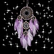 Iron Ring Woven Net/Web with Feather Wall Hanging Decoration(PW-WG22057-01)-3