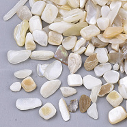 Freshwater Shell Beads, Undrilled/No Hole Beads, Chip, Seashell Color, 1~16x1~5x0.5~5mm(X-SHEL-S266-11)