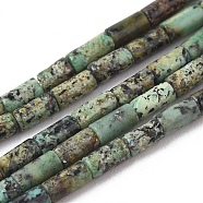 Natural African Turquoise(Jasper) Beads Strands, Column, 4x2mm, Hole: 0.6mm, about 90pcs/strand, 15.75 inch(40cm)(G-F631-B15)
