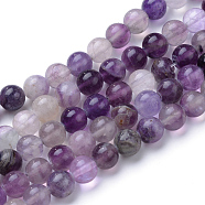 Natural Fluorite Beads Strands, Round, Purple, 6~6.5mm, Hole: 1mm, about 63pcs/strand, 15.5 inch(G-T055-6mm-14)