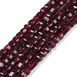 Natural Brazil Garnet Beads Strand, Faceted, Cube, 3.5x3.5x3.5mm, Hole: 0.7mm, about 112pcs/strand, 15.35 inch(39cm)(G-C009-B05)