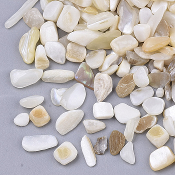 Freshwater Shell Beads, Undrilled/No Hole Beads, Chip, Seashell Color, 1~16x1~5x0.5~5mm