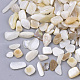 Freshwater Shell Beads(X-SHEL-S266-11)-1