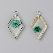 Transparent Clear Resin Pendants, with Dried Flower, Platinum Iron Loop, Rhombus, Teal, 32x18x4mm, Hole: 1.5mm, 2pcs/bag(RESI-TAC0007-06D)