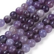 Natural Lepidolite/Purple Mica Stone Beads Strands, Round, 6mm, Hole: 1mm, about 63pcs/strand, 15.94 inch(40.5cm)(G-E545-01A)