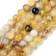 Natural Yellow Opal Beads Strands, Grade B, Round, 6mm, Hole: 1mm, about 65pcs/strand, 15.47''(39.3cm)(G-Q1001-A02-01)