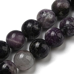 Grade A Natural Fluorite Beads Strands, Round, 8mm, Hole: 0.8mm, about 50pcs/strand, 15.43''(39.2cm)(G-R494-A13-03)