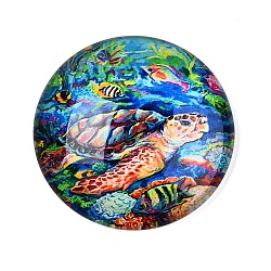 Glass Cabochons, Half Round with Ocean Theme, Colorful, Tortoise, 34.5x9.5mm(GGLA-T004-11C)