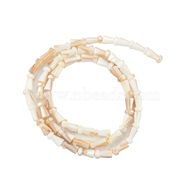 Natural Freshwater Shell Beads Strands(SHEL-G013-02B)-2