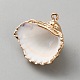 Electroplated Natural Shell Pendants(BSHE-WH0017-01G)-2