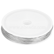 304 Stainless Steel Wire, Round, for Jewelry Making, Stainless Steel Color, 24 Gauge, 0.5mm, about 164.04 Feet(50m)/Roll(TWIR-BBC0001-01C)