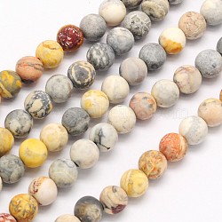 Frosted Round Natural Picasso Stone/Picasso Jasper Beads Strands, 6mm, Hole: 1mm, about 65pcs/strand, 15.3 inch(G-N0166-58-6mm)