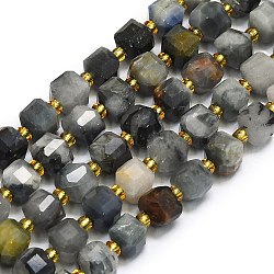 Natura Eagle Eye Stone Beads Strands, Faceted, Cube, 6.5~7.5x6.5~7.5x6.5~7.5mm, Hole: 1.2mm, about 43~44pcs/strand, 15.35''~15.55''(39~39.5cm)(G-I376-D49-01)