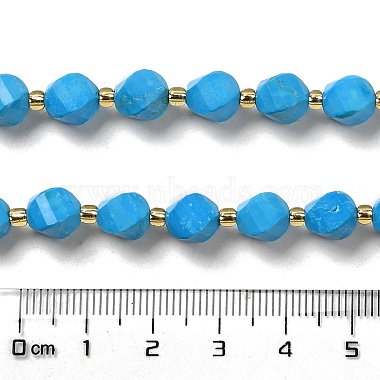 Dyed Natural Howlite Beads Strands(G-G023-B01-02A)-5