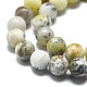 Natural Opal Beads Strands(X-G-I356-A03-02)-4