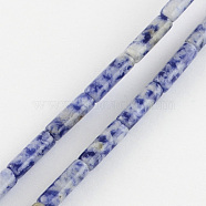 Natural Blue Spot Gemstone Beads Strands, Tube, Blue Spot Jasper, 13x4~5mm, Hole: 1mm, about 27~30pcs/strand, 15.3 inch(X-G-R181-16)