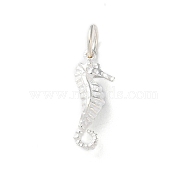 925 Sterling Silver Sea Animal Sea Horse Charms, with Jump Rings, Sea Horse, 15x6x4.5mm, Hole: 3.7mm(STER-E071-02S-05)