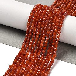 Natural South Red Agate Beads Strands, Faceted, Round, 3~3.2x3mm, Hole: 0.6mm, about 128pcs/strand, 15.16''(38.5cm)(G-Z074-A02-01A)