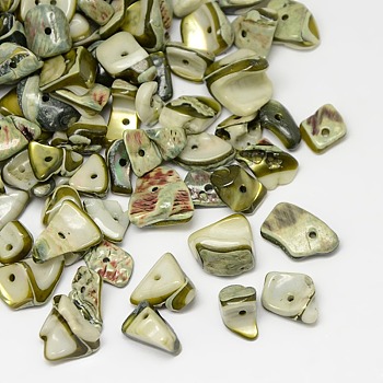 Dyed Natural Freshwater Shell Chips Beads, Shell Shards, Olive, 9~12x6~15mm, Hole: 1mm, about 900pcs/500g